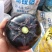 圆茄