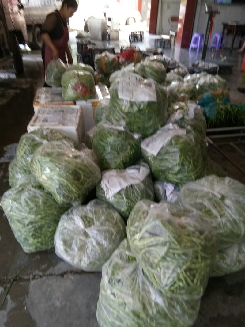 大青豆（新鲜大青豆现货）