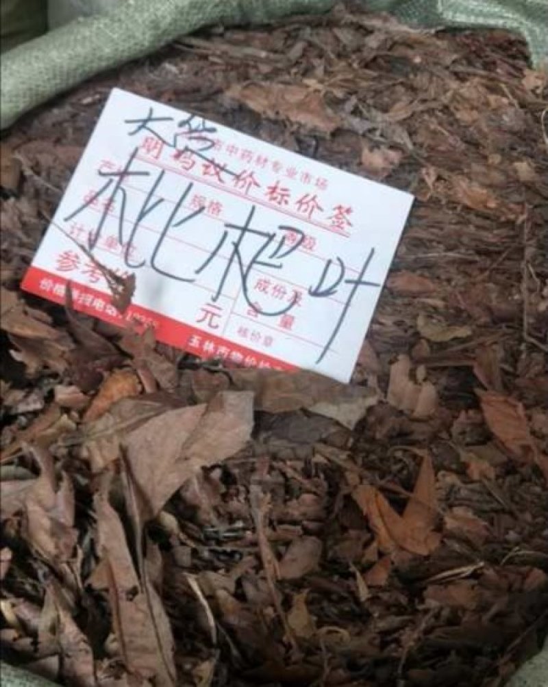 枇杷叶，生切、干切枇杷叶丝，颜色漂亮干度好，现货大量供应