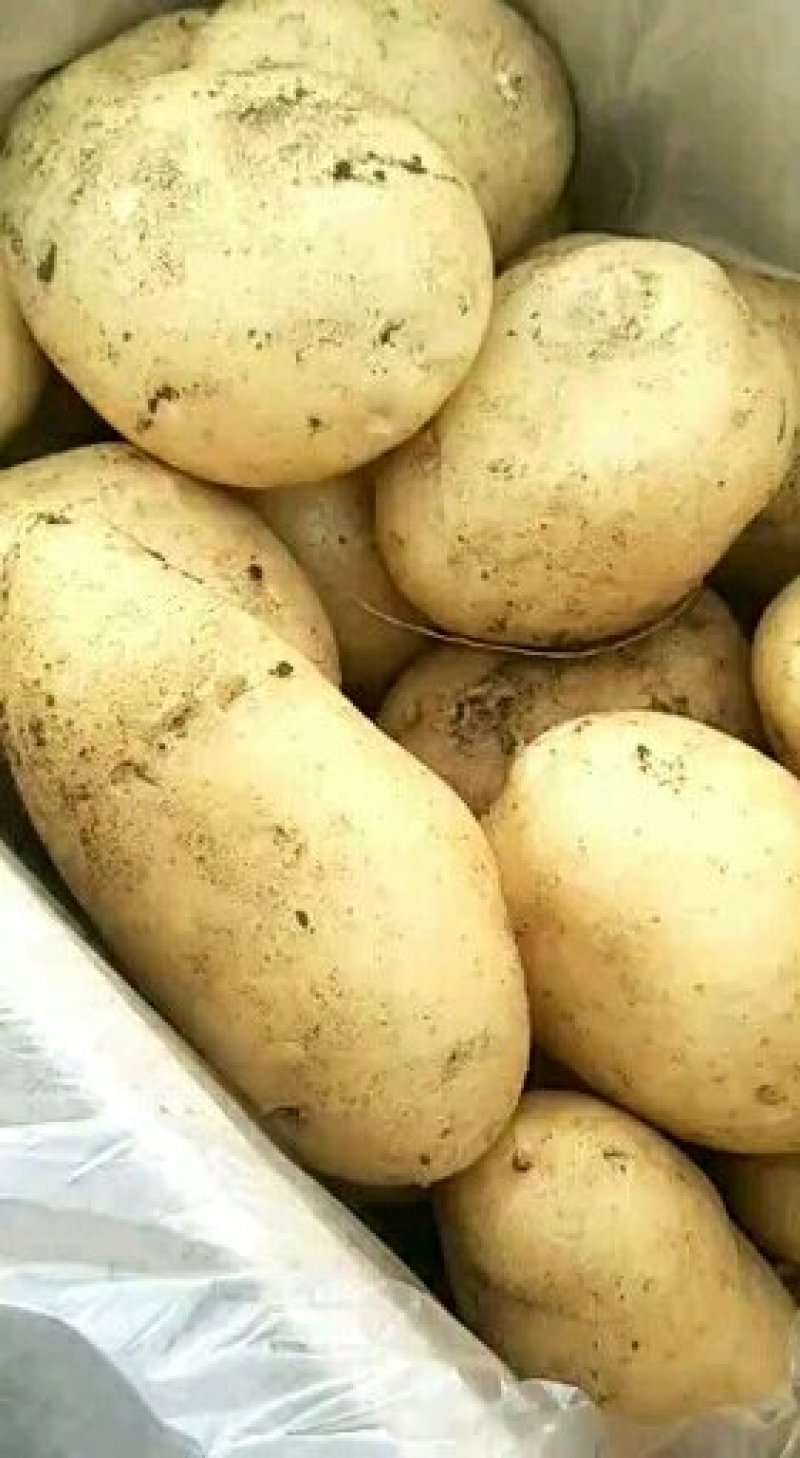 代收代发精品丽暑6号期待你的合作