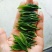 陕南绿茶