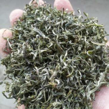 陕南绿茶
