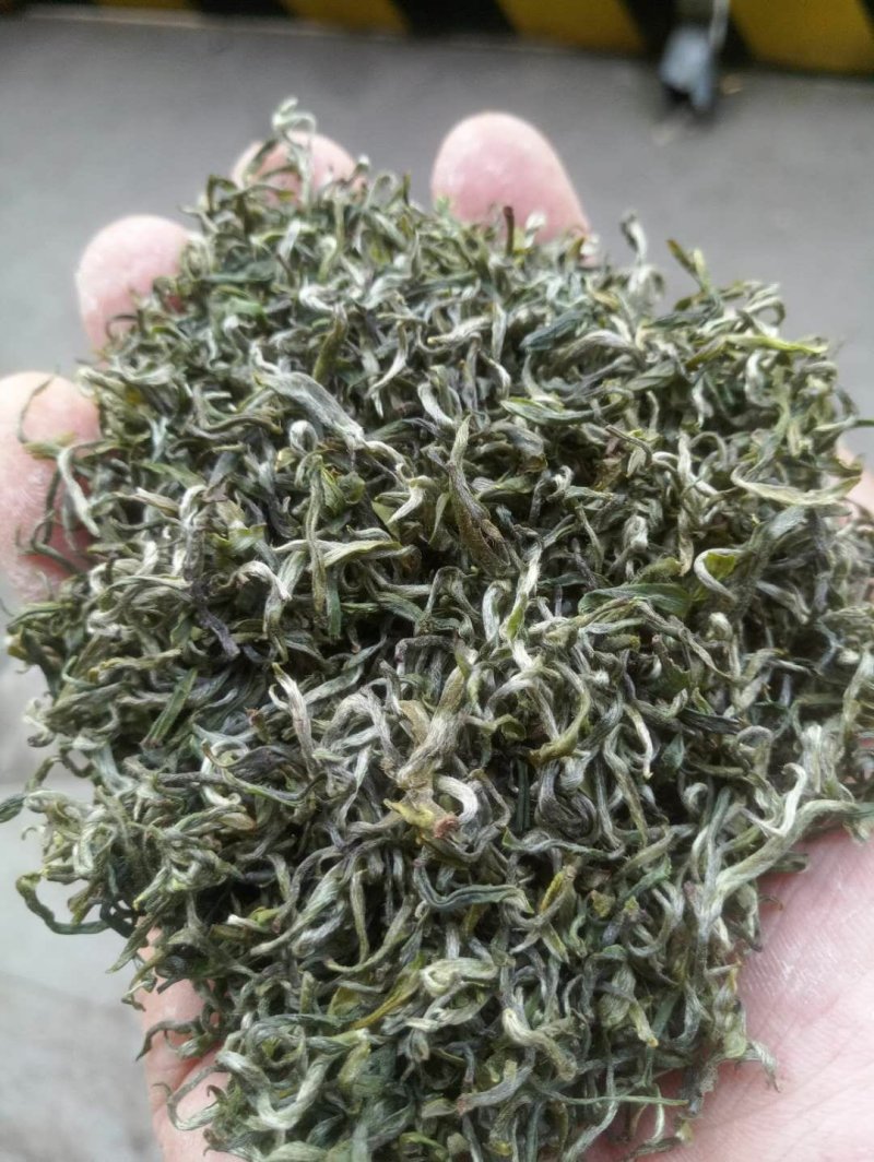 陕南绿茶