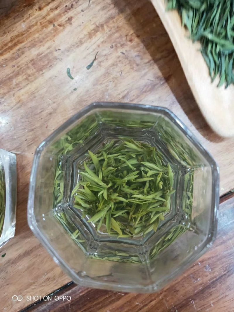 陕南绿茶