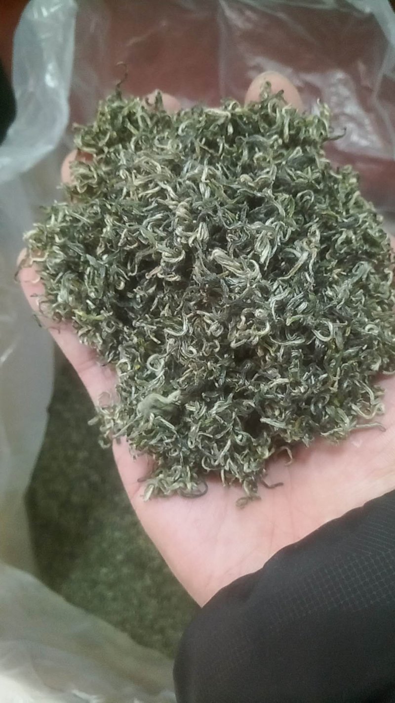陕南绿茶