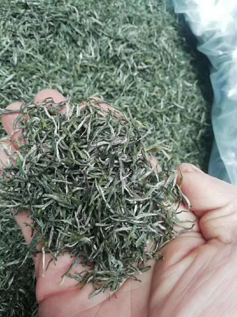 陕南绿茶