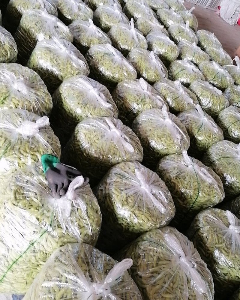 沈鲜毛豆大量上市，米粒饱满，可视瓶看货，须要联系，