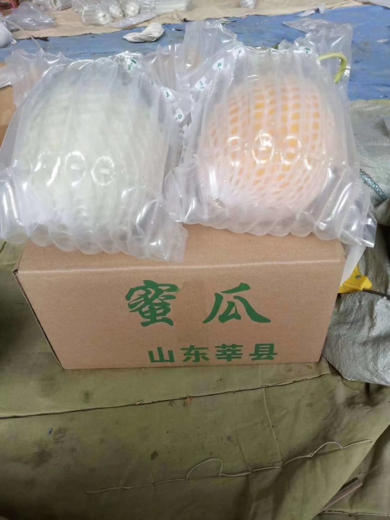 玉菇，网红冰淇淋甜瓜，大量供应，一件代发，代收代办