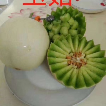 玉菇，网红冰淇淋甜瓜，大量供应，一件代发，代收代办