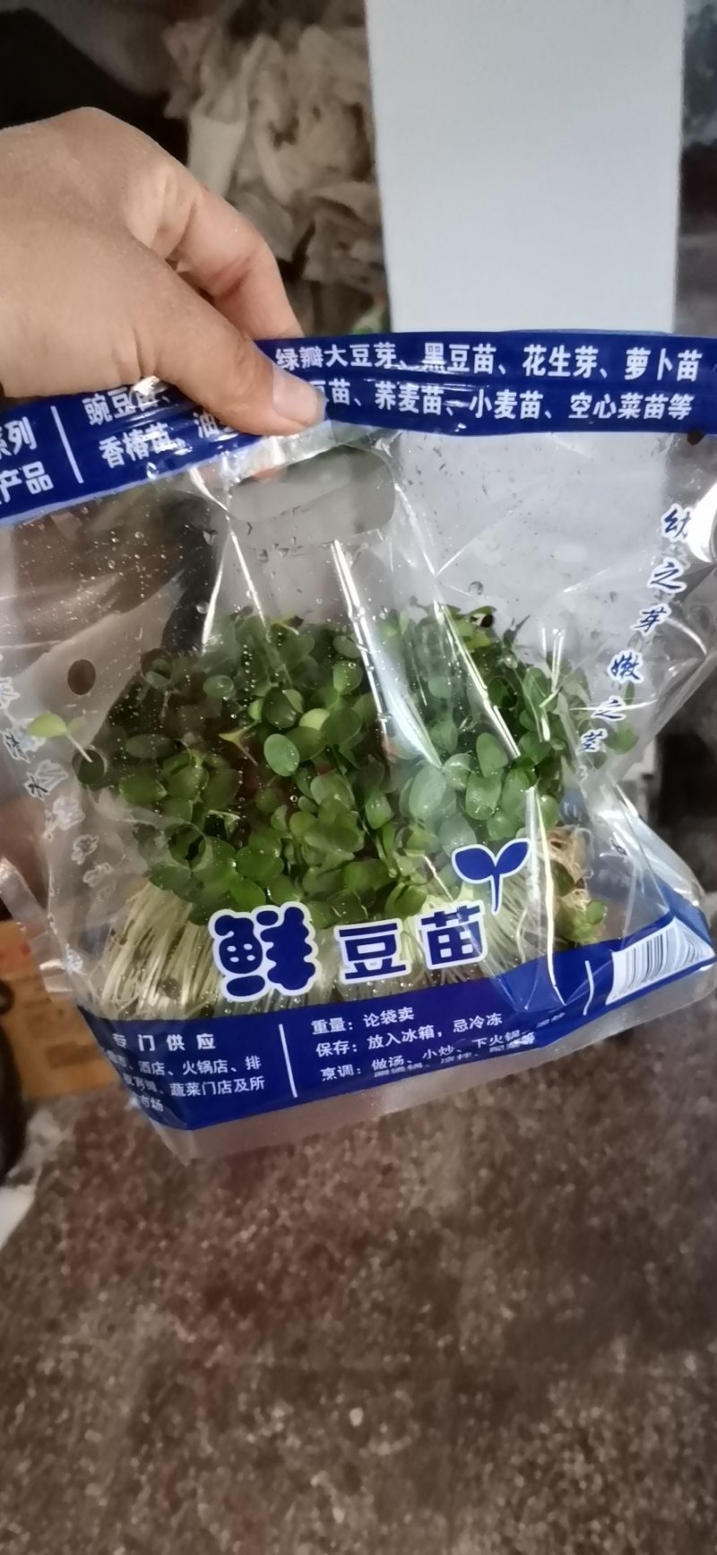 香椿苗香椿芽苗菜