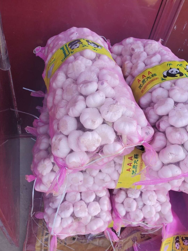 精品大蒜，蒜头，扒皮蒜，紫皮大蒜，把蒜，把子蒜