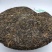 云南普洱茶，生茶，2015年易武料，汤色好，入口回甘生津