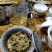 普洱茶生茶2019年春茶大树茶云南七子饼茶357克/饼