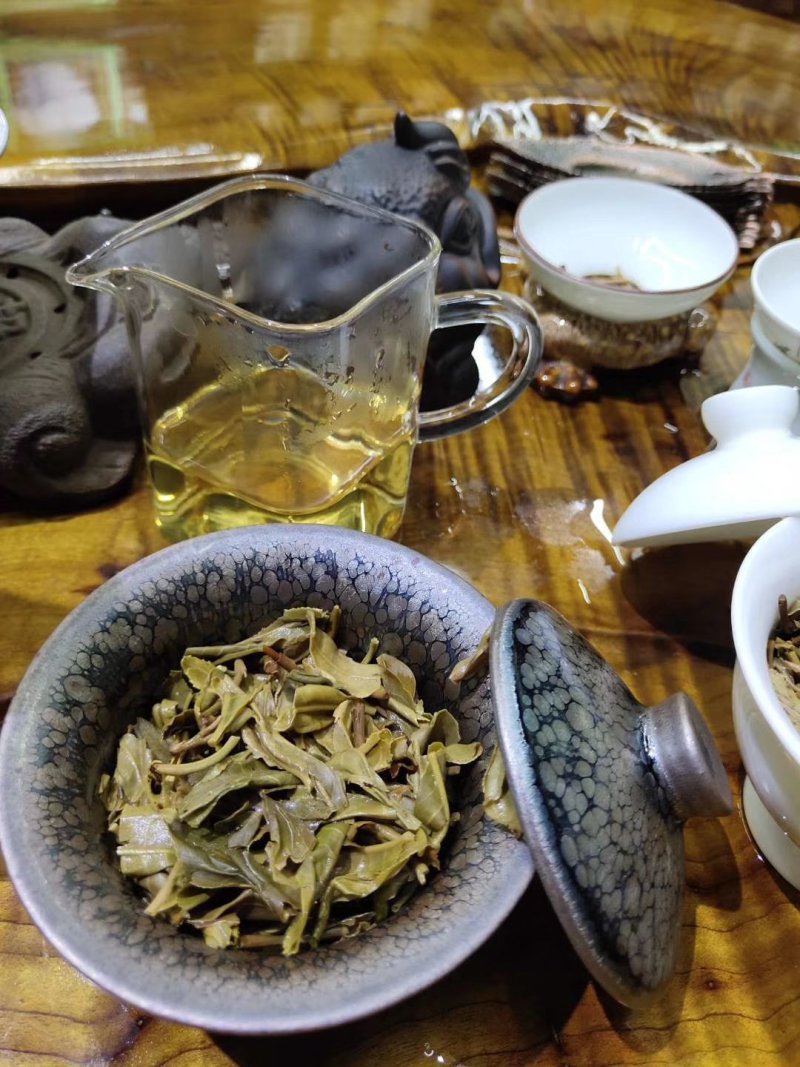 普洱茶生茶2019年春茶大树茶云南七子饼茶357克/饼