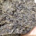 普洱茶生茶2019年春茶大树茶云南七子饼茶357克/饼