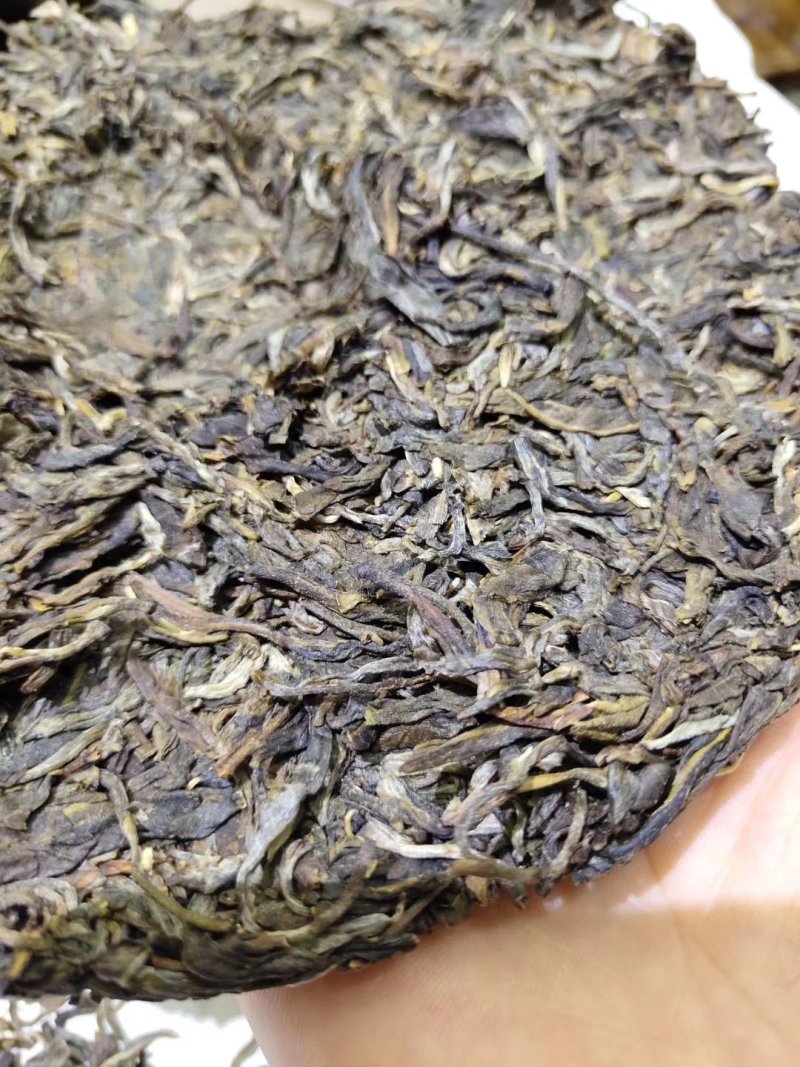 普洱茶生茶2019年春茶大树茶云南七子饼茶357克/饼