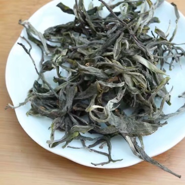 2020云南普洱茶，生茶，大户赛老树茶，散料，特价批发，