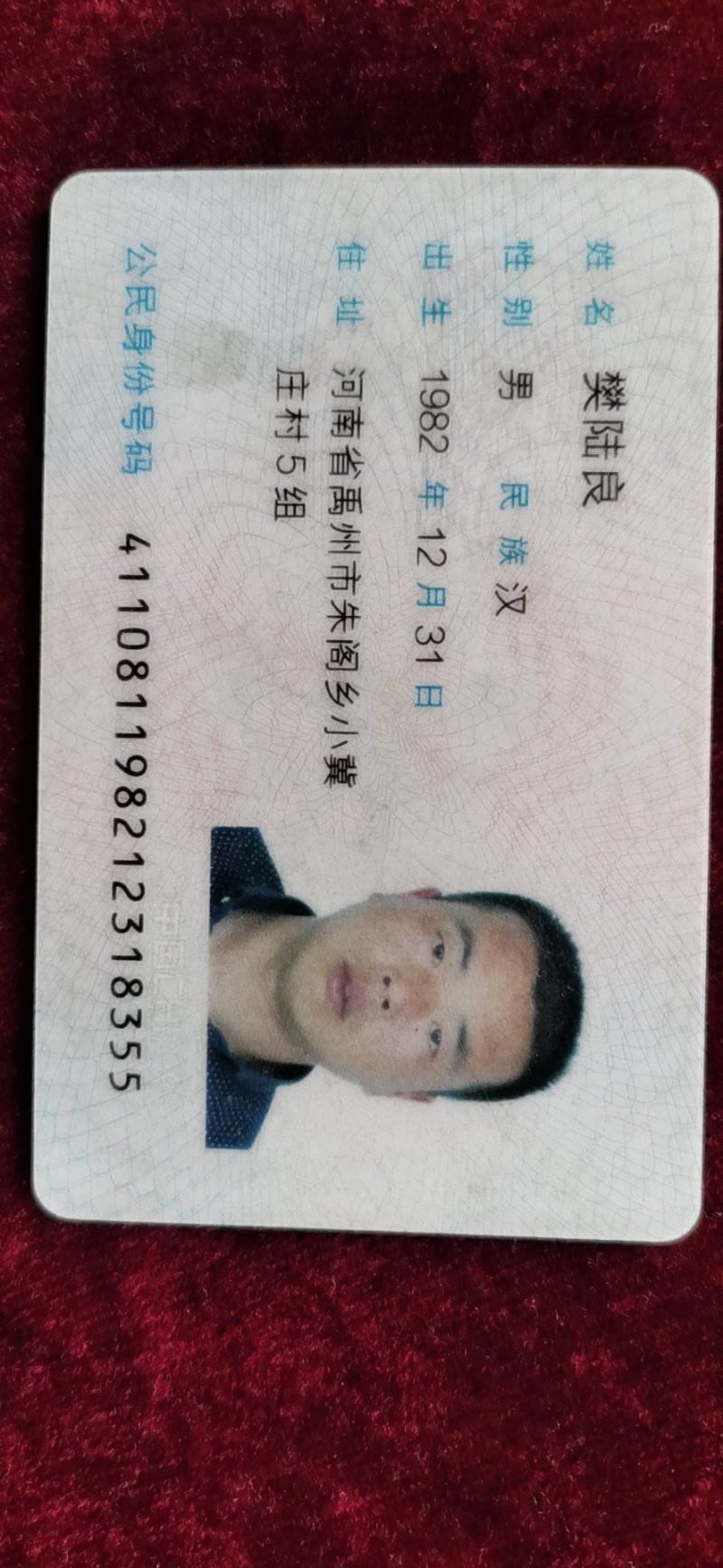 河南省禹州市红薯苗-脱毒红薯苗基地成活率高欢迎咨询
