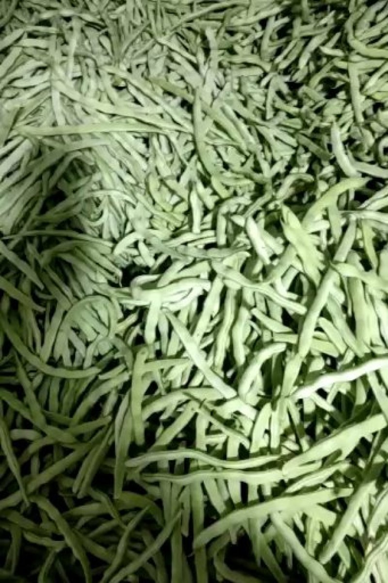 蔬菜