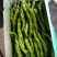 蔬菜