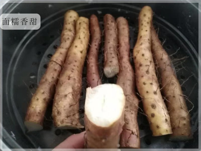 正宗焦作纯垆土地铁棍山药假一赔十正宗