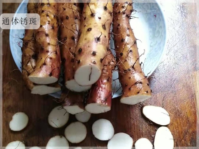正宗焦作纯垆土地铁棍山药假一赔十正宗