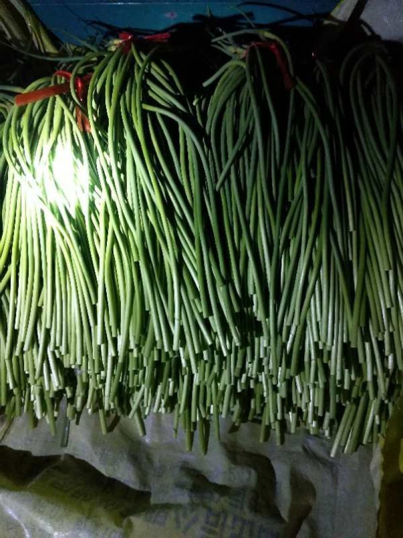 手拔蒜台大量上市了