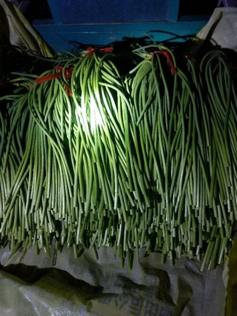 手拔蒜台大量上市了