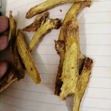 黄芩，黄芩瓜子片、圆片、长片，甘肃地产货，长期供应！