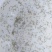 淡水鱼苗水花寸片夏花大量出货