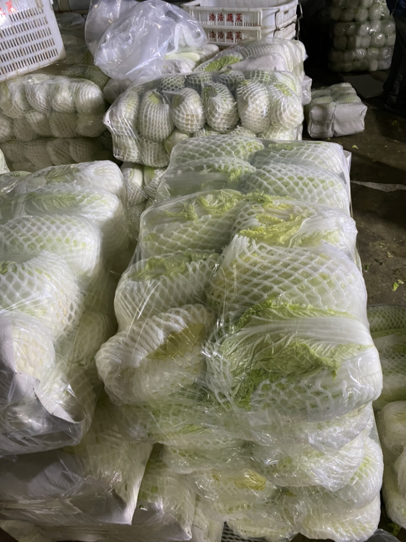 白菜，优质黄心白菜大量上市