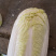 白菜，优质黄心白菜大量上市