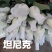 山东玫瑰基地直发一扎18支送两支防损包邮新鲜采摘发货