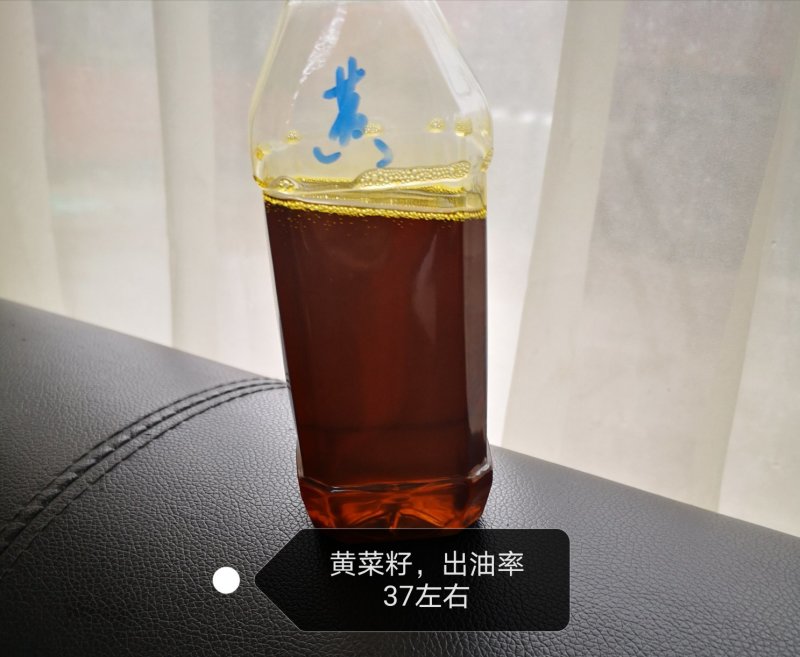 优质油菜籽
