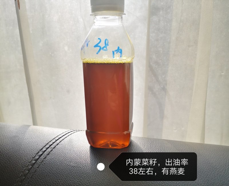 优质油菜籽