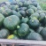 台州本地南瓜板栗南瓜量大从优