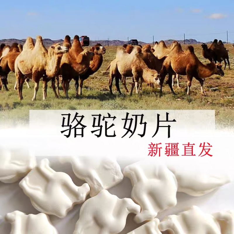 新疆的骆驼奶贝！营养！支持批发，2斤包邮
