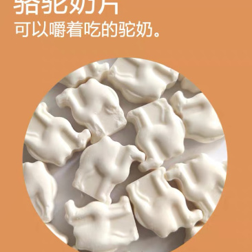 新疆的骆驼奶贝！营养！支持批发，2斤包邮