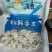 新疆的骆驼奶贝！营养！支持批发，2斤包邮