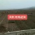 红梅,绿梅,宫粉,龙游,自家基地一手货源量大从优