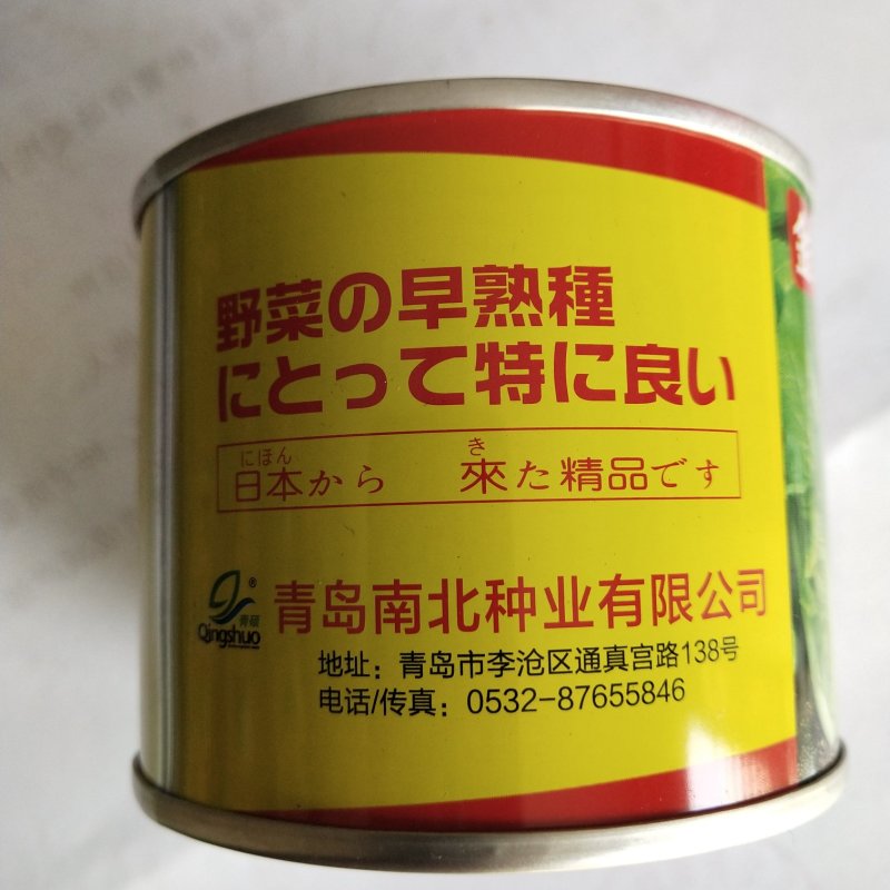 快菜小白菜种子金牌速生快菜四季可播种蔬菜种子