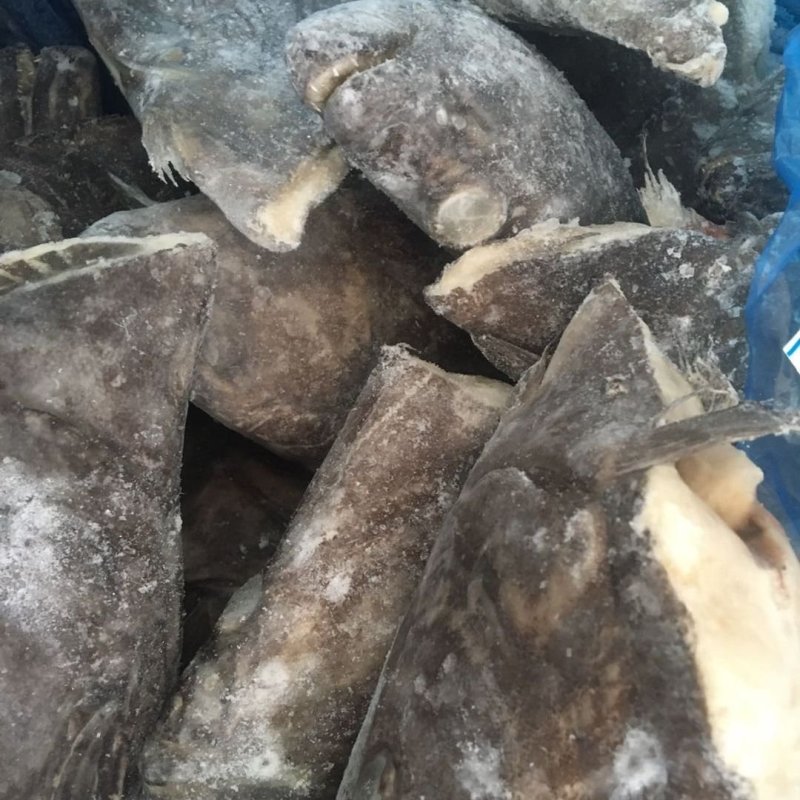 深海碟鱼头蝶鱼尾鸦片鱼头江苏海鲜水产批发鲽鱼