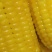 粘玉米