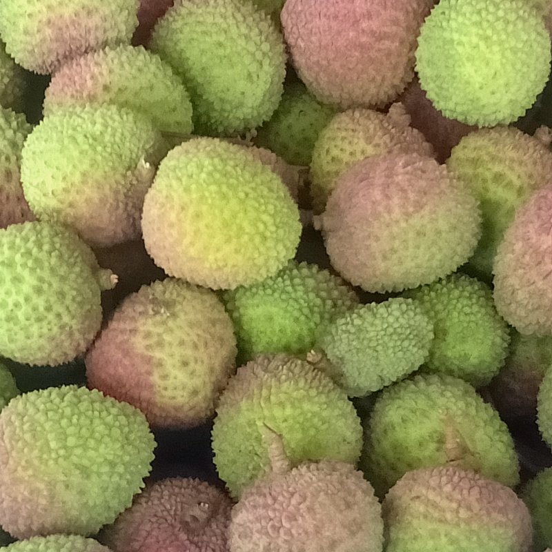 妃子笑荔枝
