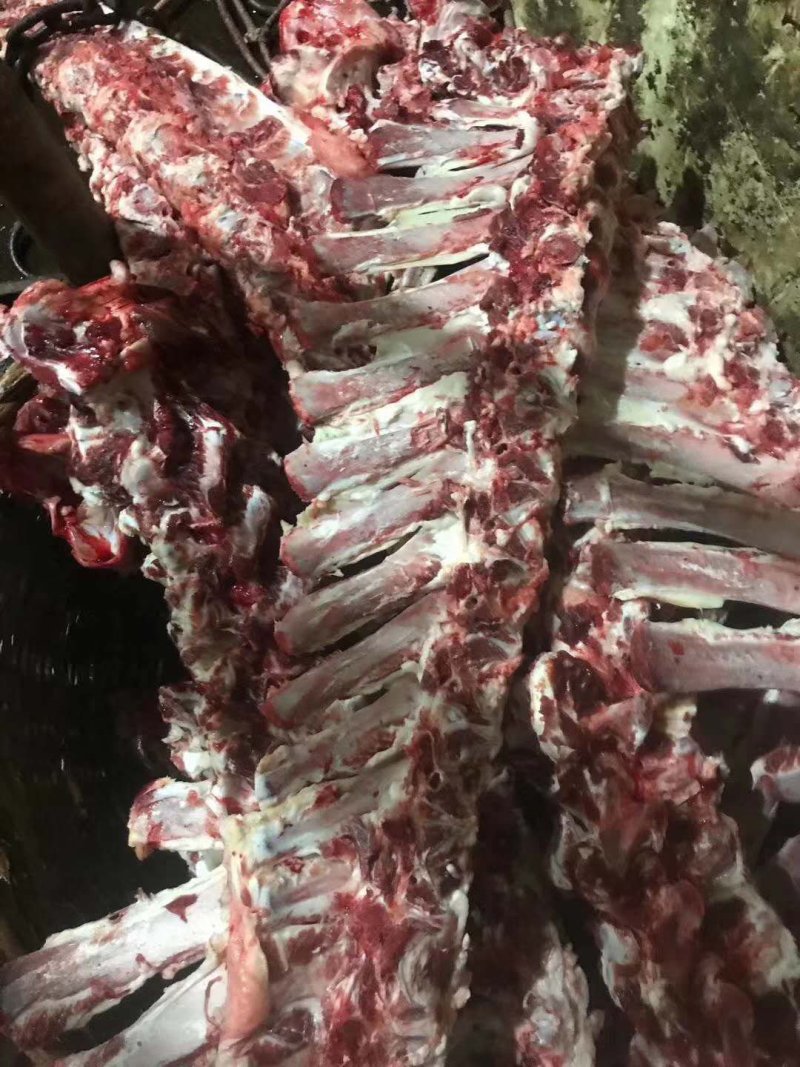 可煲汤的牛大梁骨，大量有货