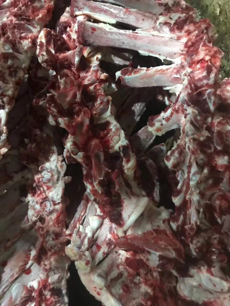 可煲汤的牛大梁骨，大量有货