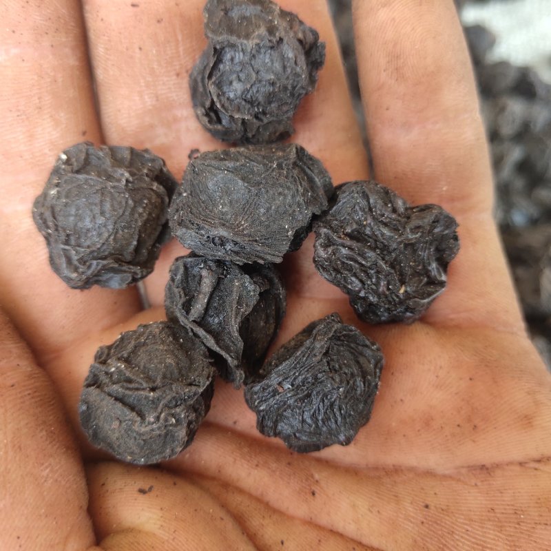 乌梅炙乌梅小统货药用关书药业