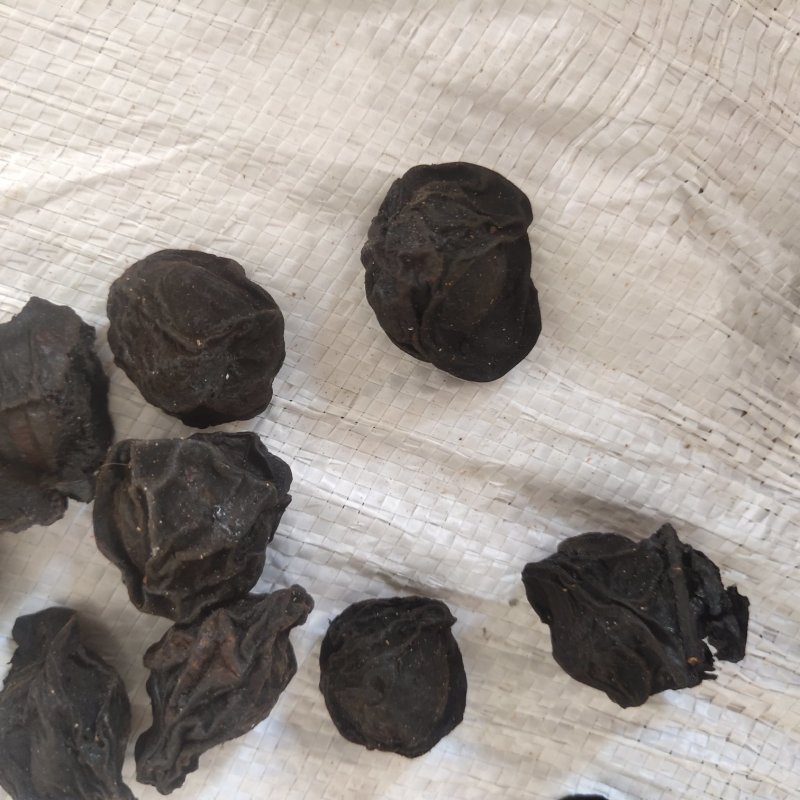 乌梅大统货有肉新货关书药业
