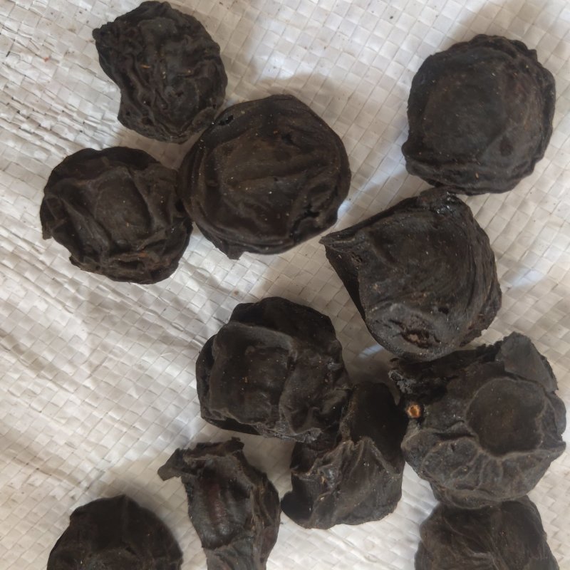 乌梅精选大乌梅关书药业批发中药材规格齐全