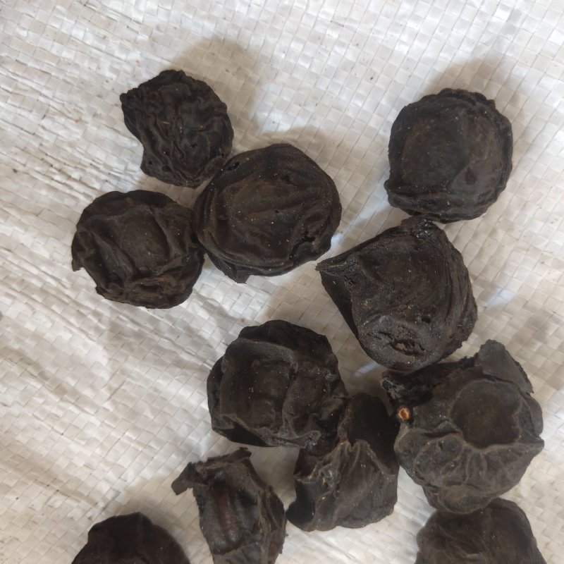 乌梅精选大乌梅关书药业批发中药材规格齐全